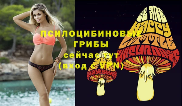 мескалин Арсеньев